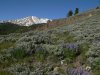 clouds below mount adams